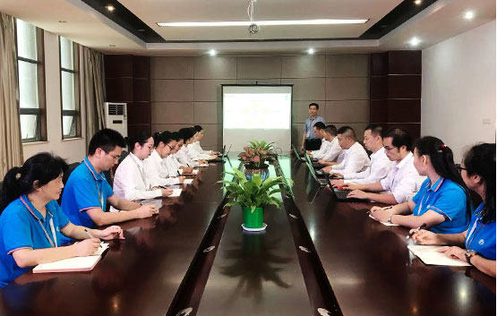 草莓视频网站電子